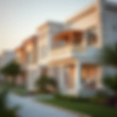 Diverse Property Options in Al Warsan A close-up of the diverse property options available in Al Warsan