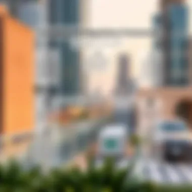 Compliance and Regulatory Framework in the UAE Infographic on compliance and regulatory bodies in the UAE