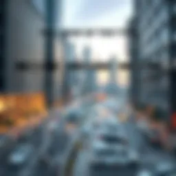 Detailed infographic showing UAE tax types