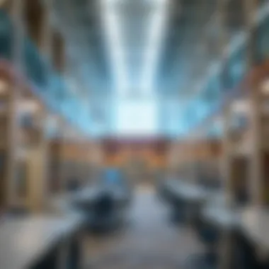 State-of-the-art library facilities in a Dubai university